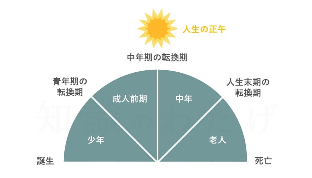 人生の正午 ユング ライフサイクル論